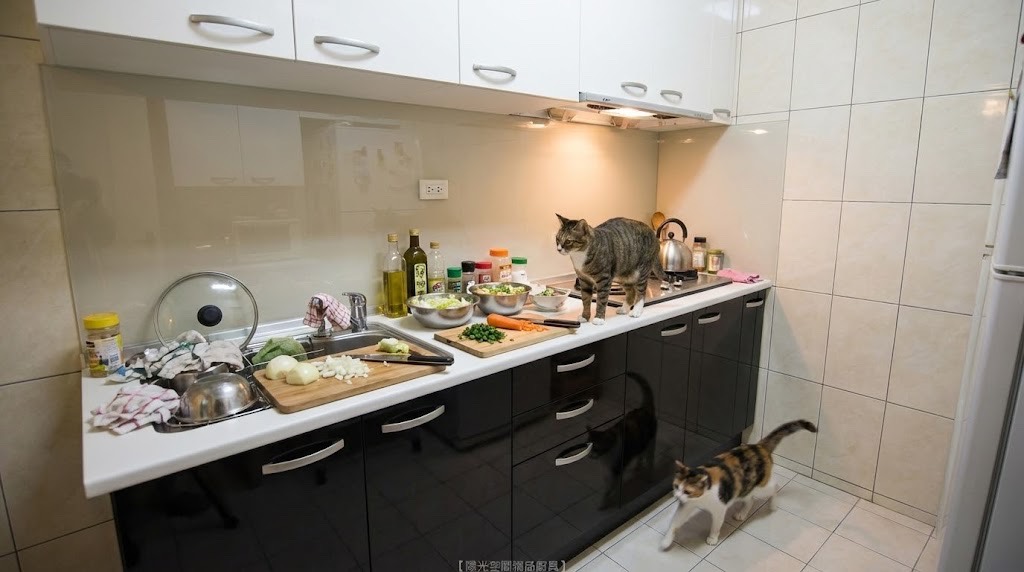 中和中正路黑白配一字型廚具 × 美耐板檯面 × 豪山二機｜陽光空間精品廚具