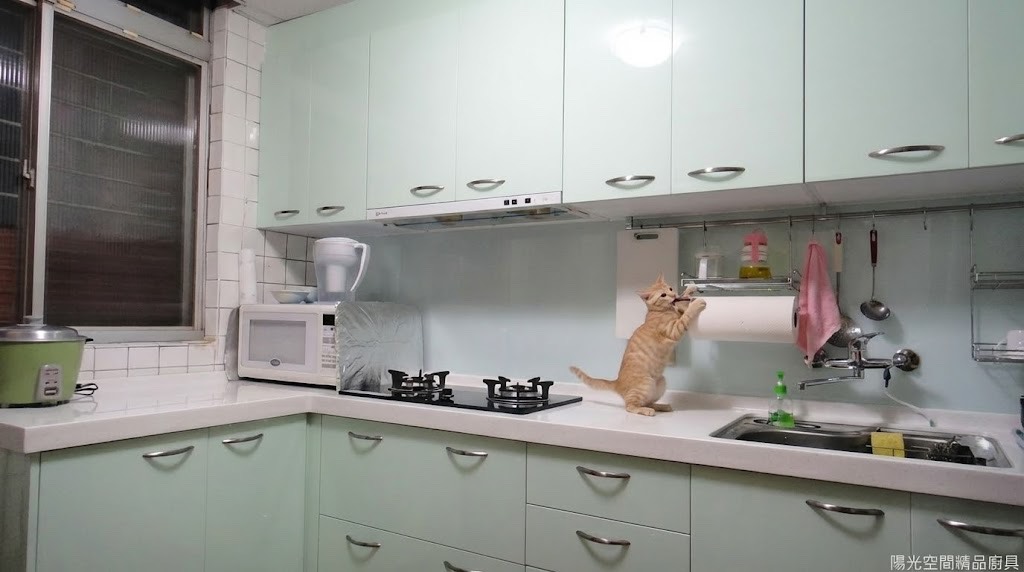 台北浦城街淡雅綠L型廚具 櫻花白玻爐 防蟑水槽 陽光空間精品廚具