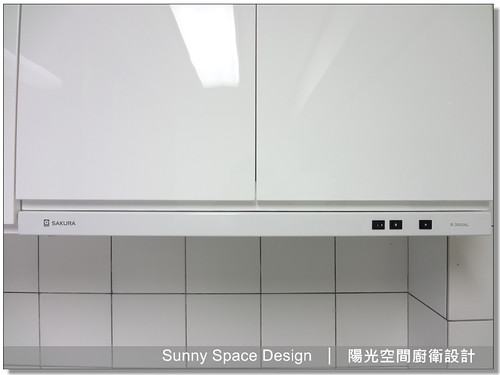 瑋俊 T1-620 水槽與 BOSS 鵝頸龍頭