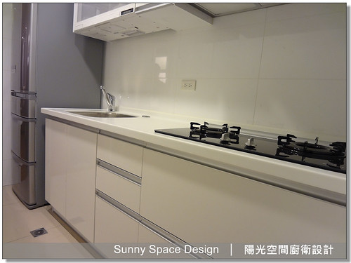 林內T字型油煙機RH-9029