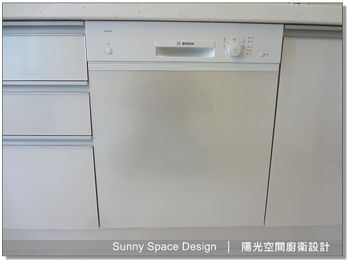 韓國防蟑大單槽 DS-850P 與伸縮龍頭